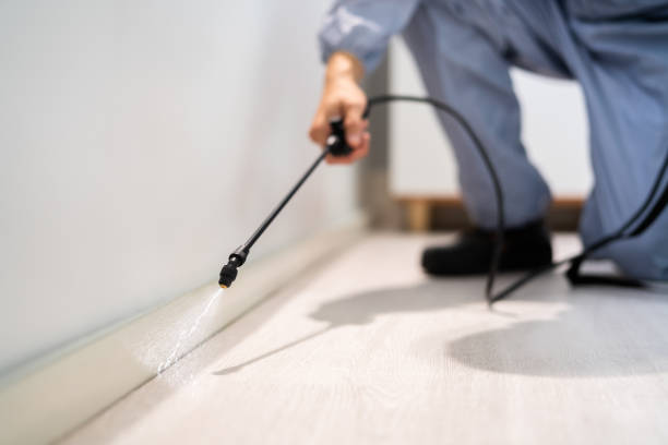 Bed Bug Pre-Treatment Preparation Assessment in Longbranch