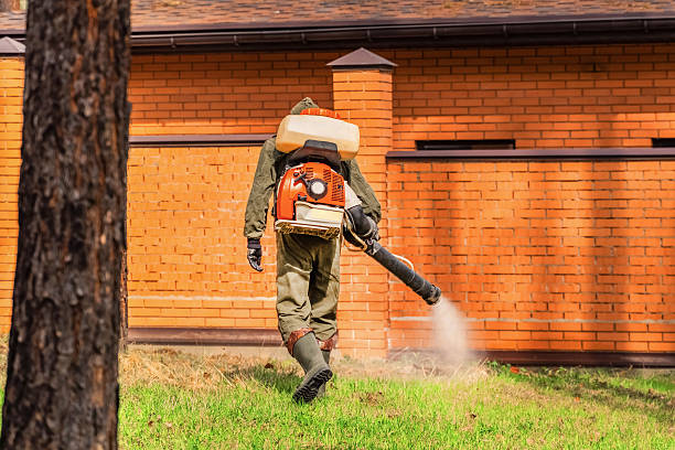 Bed Bug Clearance Verification and Documentation in Longbranch